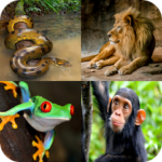 Animal Quiz 1.1.23 APK (MOD, Unlimited Money)