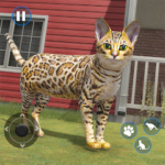 Cat Simulator Offline Cat Game 1.0.5 APK (MOD, Unlimited Money)