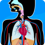 Human Anatomy 2024.6.0 APK (MOD, Unlimited Money)