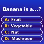 Millionaire – Quiz & Trivia 1.9.9 APK (MOD, Unlimited Money)