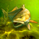 My Fishing World 1.15.14 APK (MOD, Unlimited Money)