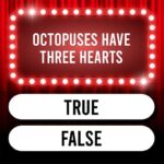 Trivia Quiz: Super Trivia Game 2.2.7 APK (MOD, Unlimited Money)